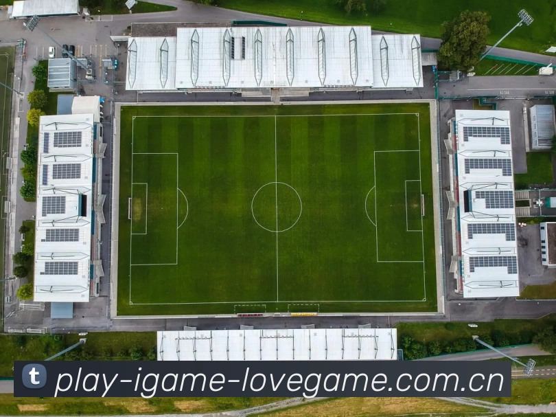 奖项证书